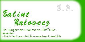 balint malovecz business card